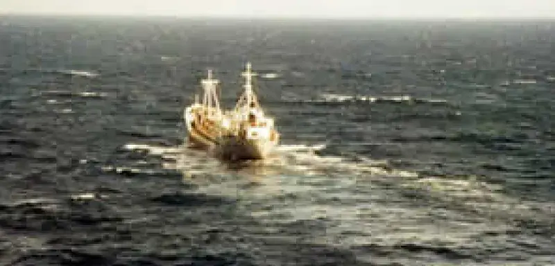 11-08-2008Photodegazage.jpg