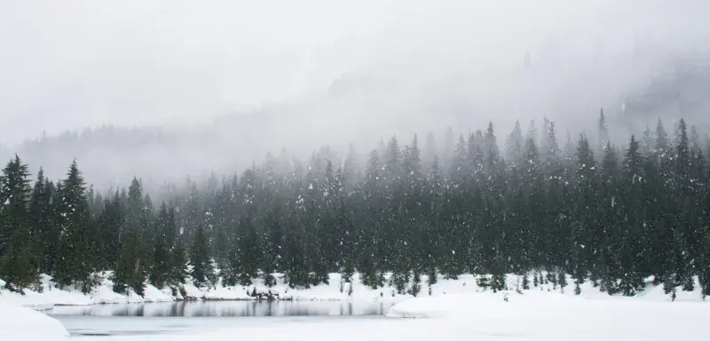 Paysage de montagne enneigé avec forêt de cèdres