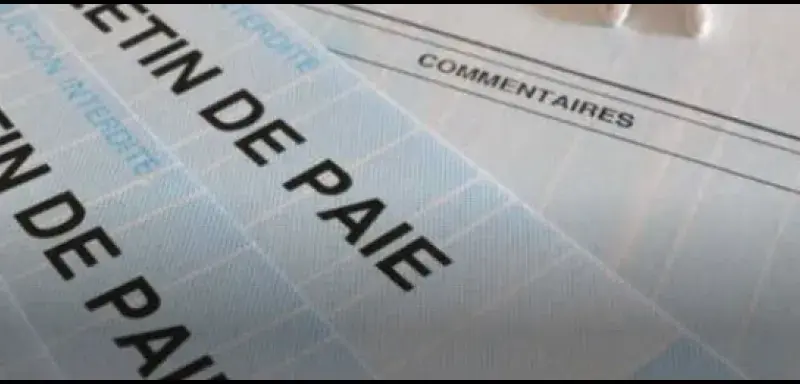 Illustration pour l article: Pourquoi vous avez intérêt à regarder votre feuille de paie de janvier