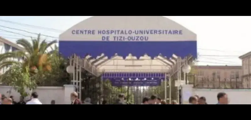 Illustration pour l'article: Des cas de leptospirose, une maladie grave transmise par les urines des rongeurs notamment, ont été