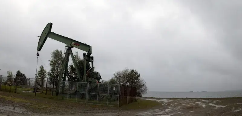 Pompe à pétrole dans un champ pétrolifère