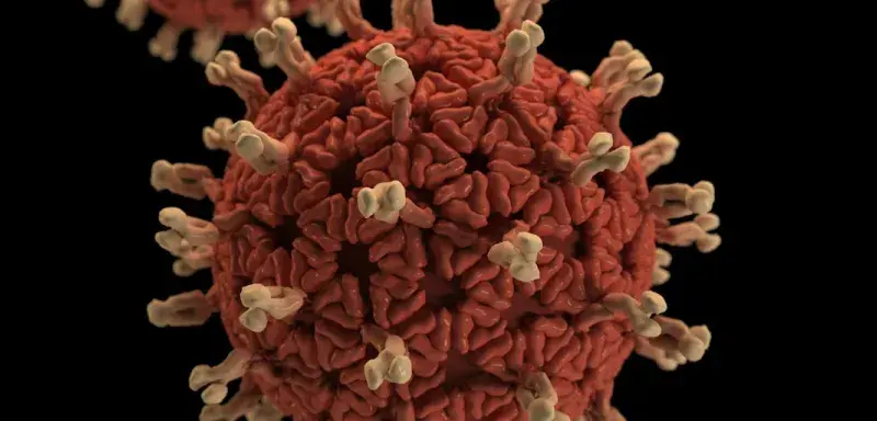 Représentation microscopique d'un virus hantavirus