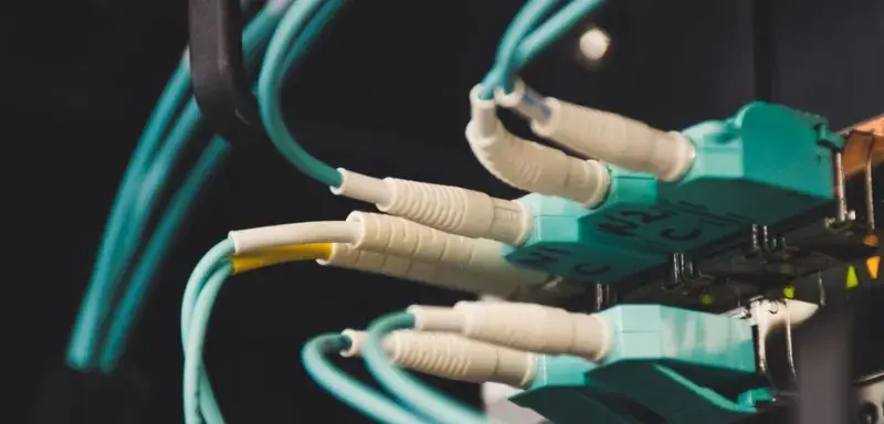 Detailed view of fiber optic cables and ports in a server room, showcasing connectivity.