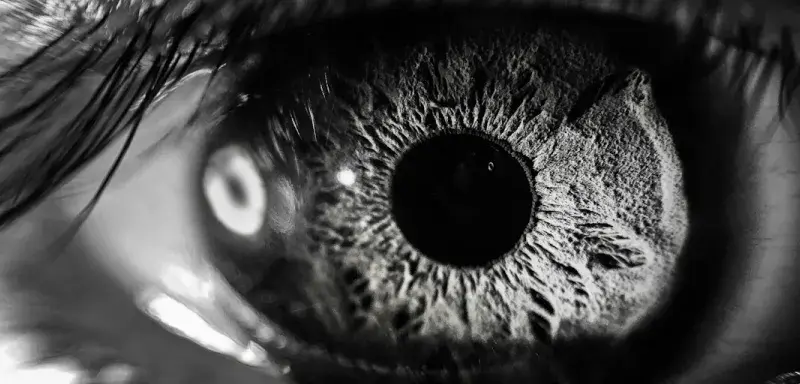 grayscale photography of person's eye