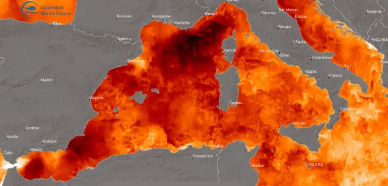 les températures de surface de l’eau battent des records, dépassant de plusieurs degrés la normale saisonnière