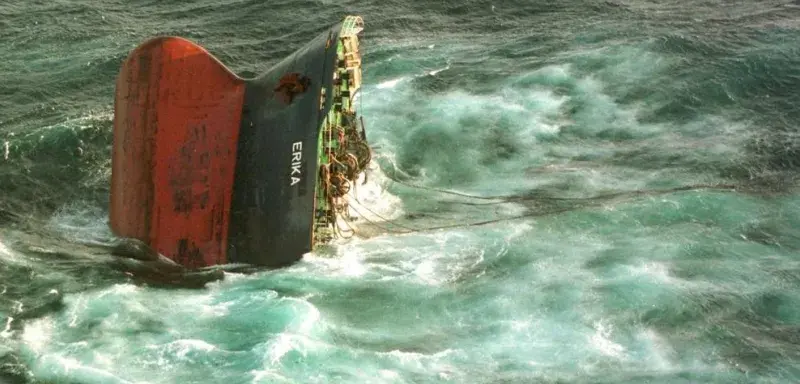 Des oiseaux marins mazoutés ont été retrouvés en Bretagne. Les analyses évoquent un lien possible avec le naufrage de l’Erika, 26 ans après.