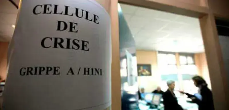 Grippe-France12.jpg