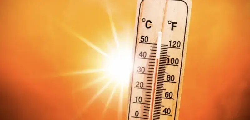 Canicule Bayonne 