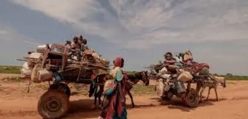 Les récits qui filtrent depuis Tawila ou le camp de Zamzam parlent de colonnes de familles fuyant à pied, de perquisitions maison par maison, d’hommes exécutés parce qu’ils sont massalit