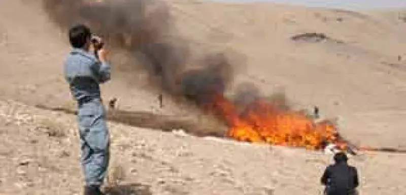 afg.jpg