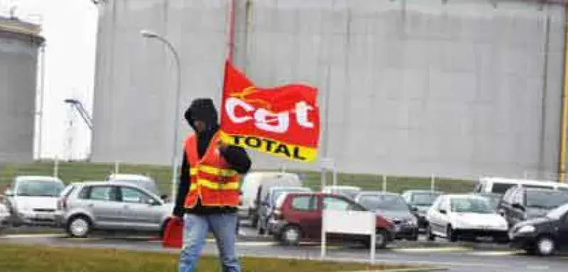 ceget.jpg