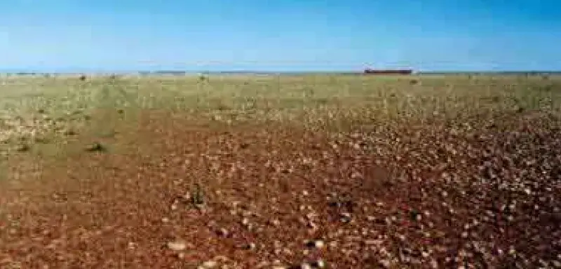 crau.jpg