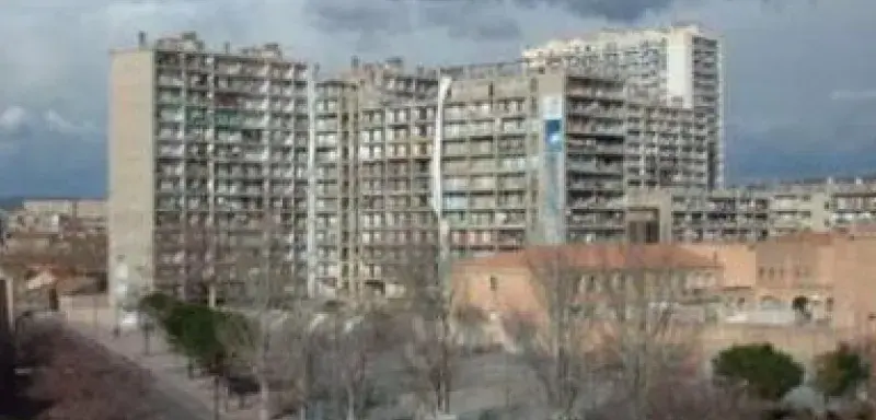 fdvrt.jpg