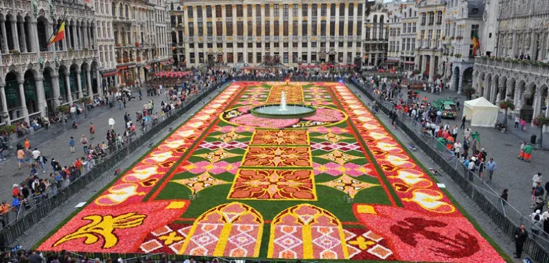 fleurbelge.jpg