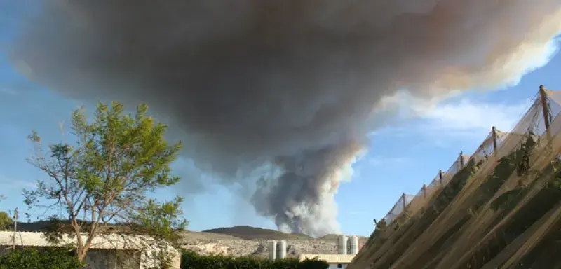 israelincendie.jpg