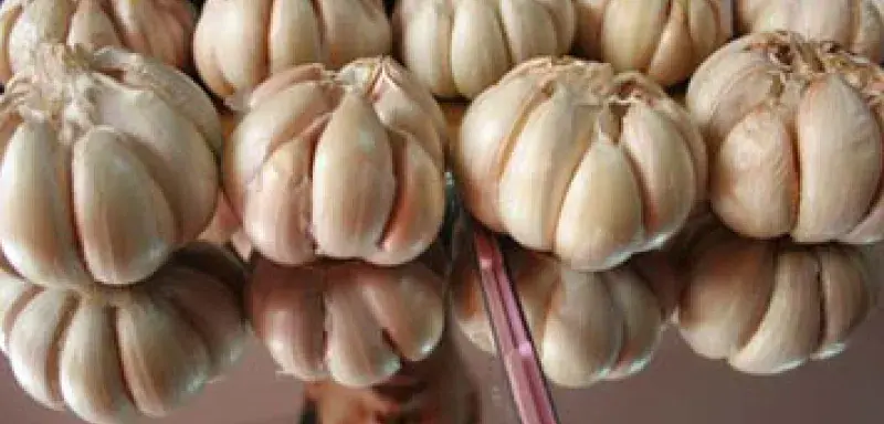 millionairechinoisdelail.jpg
