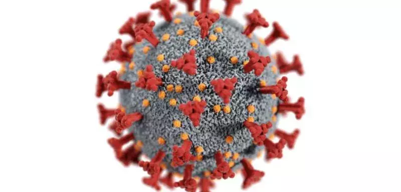 La nouvelle souche du variant Omicron,  détectée dans plusieurs pays, attire l'attention des spécialistes attire