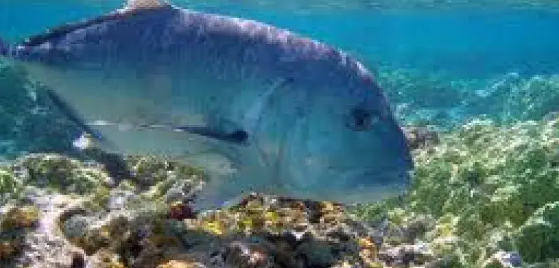 papahanaumokuakea.jpg