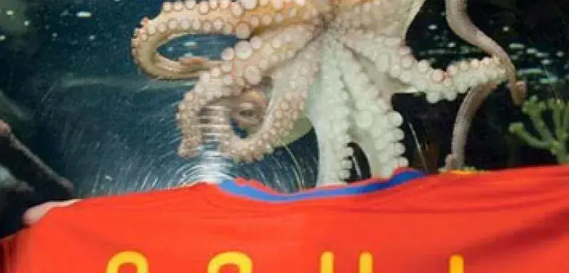 paulepoulp.jpg
