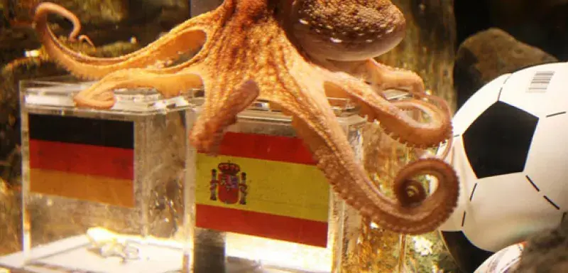 paulepoulpe.jpg