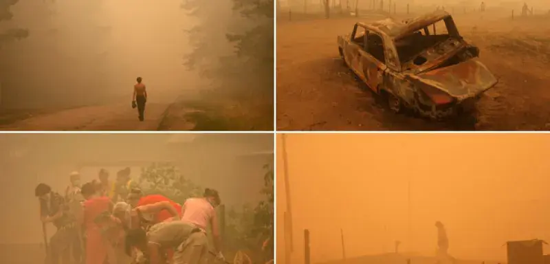 russiefeuxdeforet.jpg