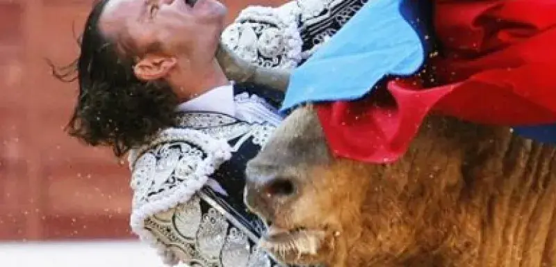 toreroblesse.jpg