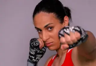 Lycée Arnaud Beltrame de Meyzieu où une salle doit être baptisée du nom d'Imane Khelif