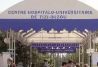 Illustration pour l'article: Des cas de leptospirose, une maladie grave transmise par les urines des rongeurs notamment, ont été