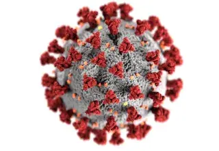 Detailed 3D representation of the coronavirus structure highlighting spike proteins.