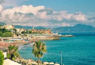 Crowded beach with blue umbrellas and palm trees.