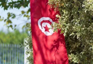 Tunisian flag hangs outdoors in a lush garden, capturing vibrant patriotism.