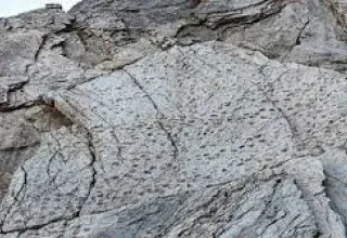 Une découverte exceptionnelle : plus de 20 000 empreintes de dinosaures retrouvées dans les Dolomites italiennes, près des sites des JO 2026.