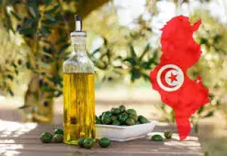 Avec une récolte record en 2025‑26, la Tunisie pourrait dépasser l’Italie en production d’huile d’olive, symbole d’un renouveau agricole maghrébin.