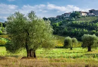 Les Italiens vivent plus longtemps que jamais : l’espérance de vie dépasse 83 ans, avec un écart notable entre les sexes — les femmes centenaires représentent près de 80 % des effectif