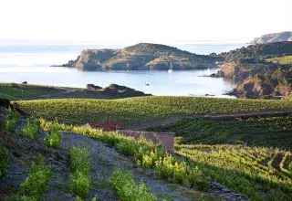  bassin méditerranéen devient un terrain de jeu privilégié pour les amateurs de vin et de voyage