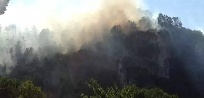  Environ 50% des surfaces brûlées sont constituées de zones forestières, 50% de terres agricoles... (Photo: témoin BFM.com)