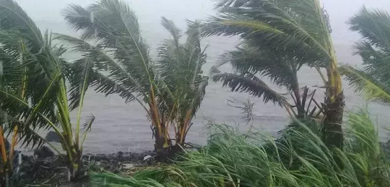 Mayotte : le cyclone Chido cause d'importants dégâts sur l'archipel