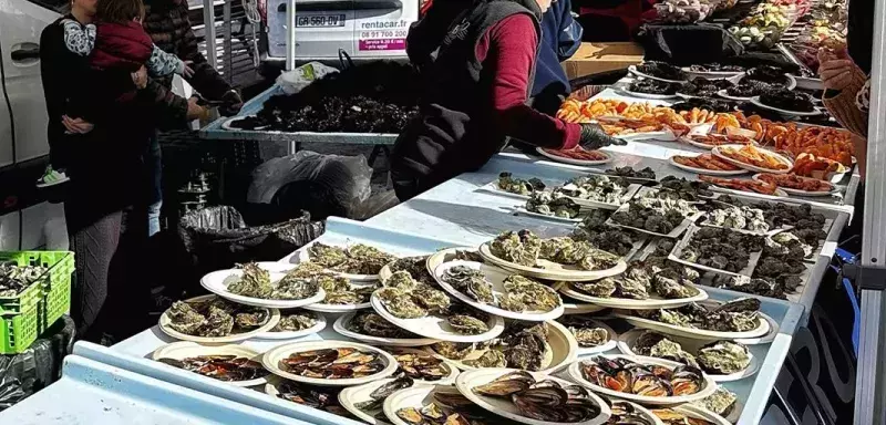 Marseille : les oursinades de la Côte Bleue, une joyeuse tradition des amateurs de produits de la mer