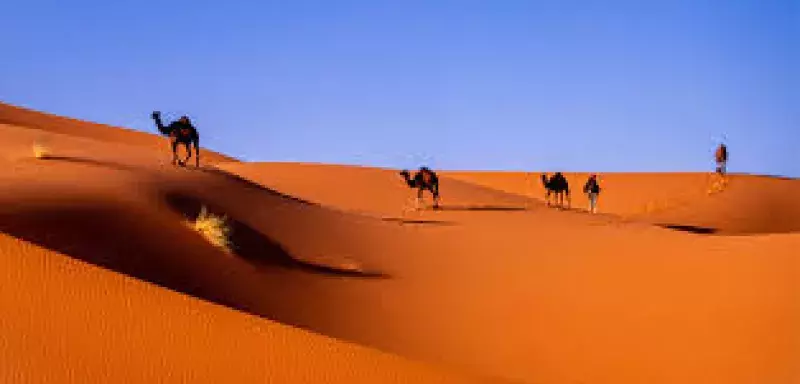 La magie du Sahara, un nouveau souffle pour le développement touristique