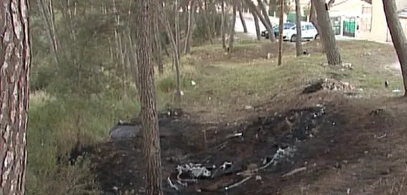 Les corps ont été retrouvés dans une pinède près de Marseille (DR)