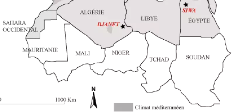 Bilan 2011 : La montée en puissance des partis islamistes en Afrique du Nord