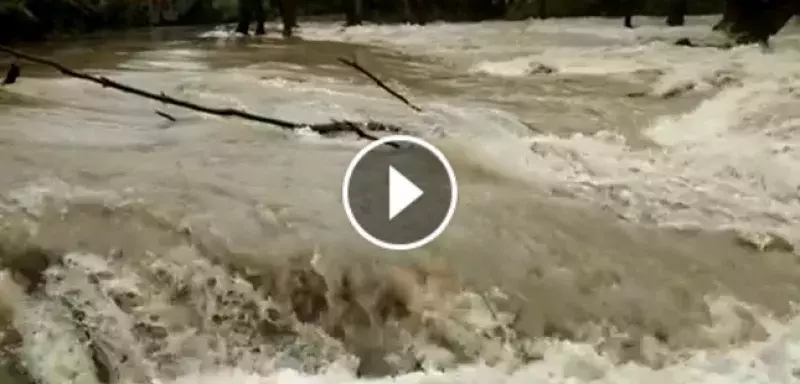 De forts orages ont concerné les garrigues au nord-ouest de Montpellier, il est tombé jusqu'à 60 mm en 1h. De forts orages ont concerné les garrigues au nord-ouest de Montpellier, il est tombé jusqu'à 60 mm en 1h. (© Météo Languedoc)