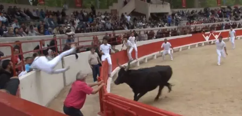 Alors en tête du Trophée jusque-là, le raseteur gaucher sur un raset des plus anodins s'est mal réceptionné après son saut. 