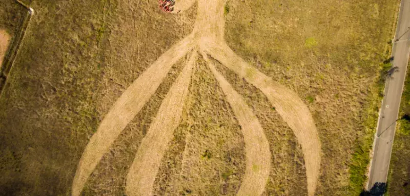 Retour en photos en mode drone en attendant la vidéo de l’opération coup de clitoris organisée ce dimanche près de Montpellier sur un Crop Circle géant ! (© photos Cyril Genoud-Prachet)