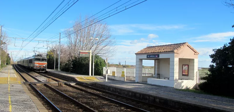 La circulation des trains a repris à partir de 11h30, suite à ce drame intervenu vers 5h45 dans le secteur de la gare de Vic-Mireval. (© N.E)