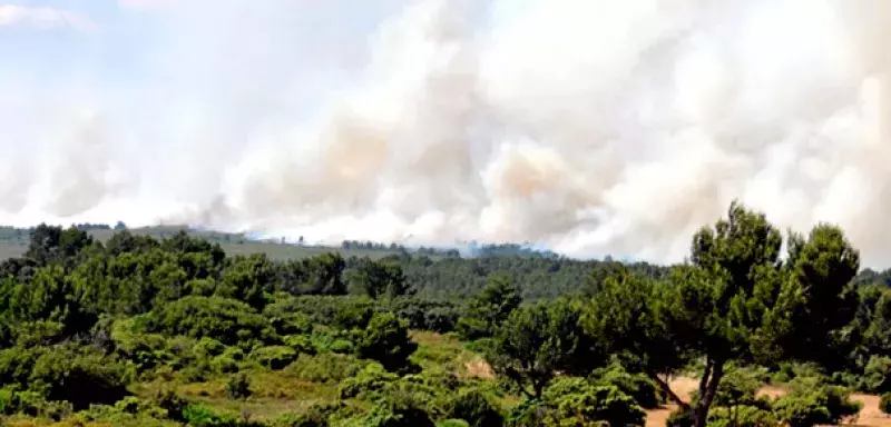  France : 90 hectares brûlés par le violent incendie à Narbonne 