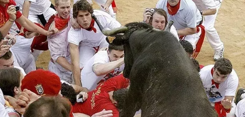 38 passionnés des lâchers de taureaux dans les ruelles de Pampelune ont été blessés durant les fêtes traditionnelles de la San Fermin .(DR)