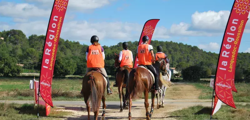 A Uzès, le grand public pourra admirer, gratuitement comme chaque année, une large sélection de chevaux d’exception.