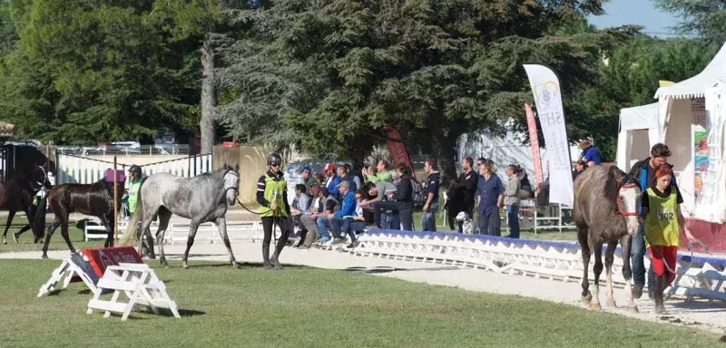 Bilan commercial très positif pour la Grande Semaine d'Uzès avec un record commercial battu à plat de couture. (© Ph. Ferrer)