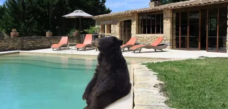 Pour Union-Matériaux, Viviane a forcément passé 15 jours au bord d'une piscine...